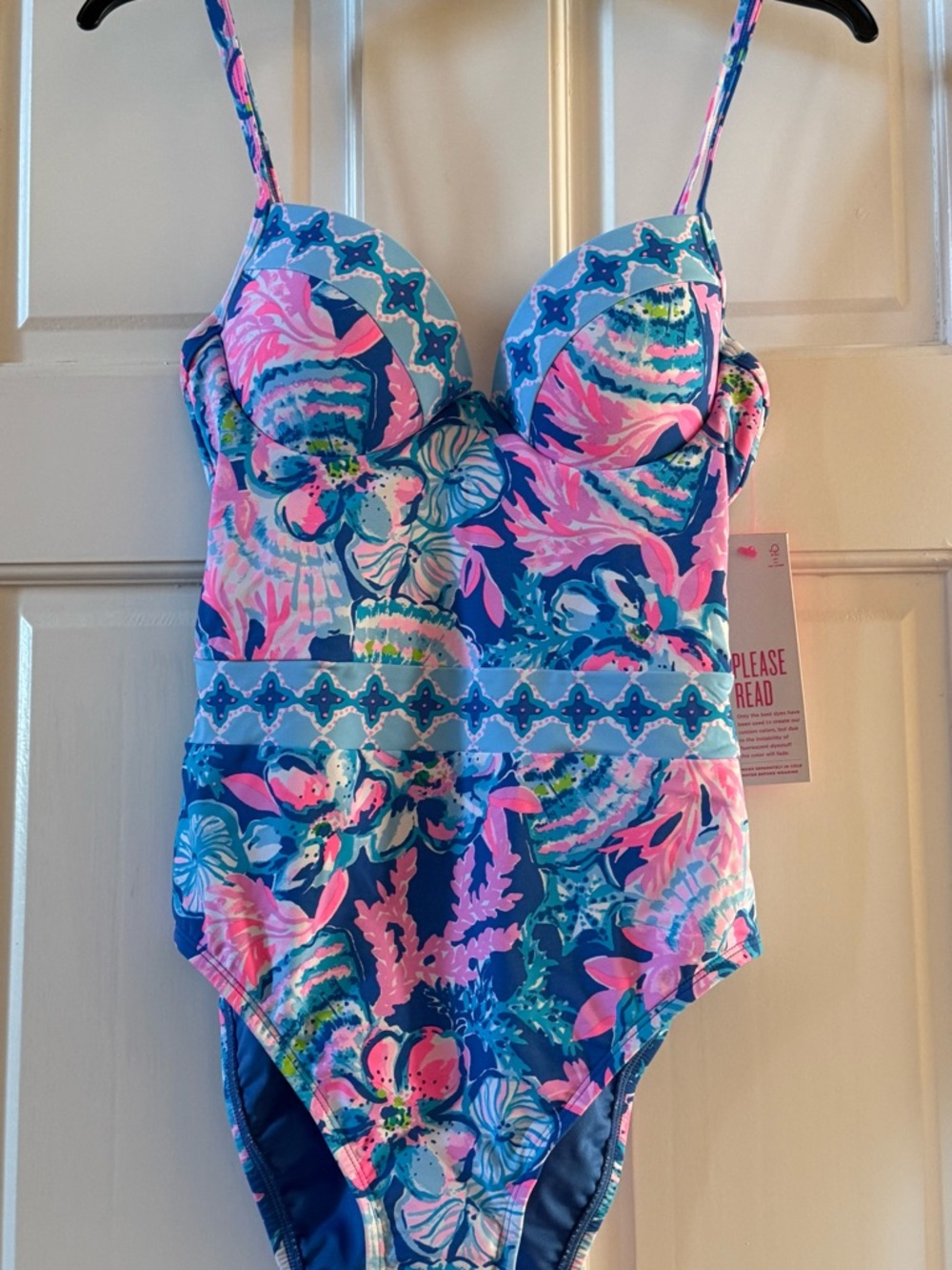 Lilly Pulitzer Palma One-Piece Swimsuit in Blue and Pink